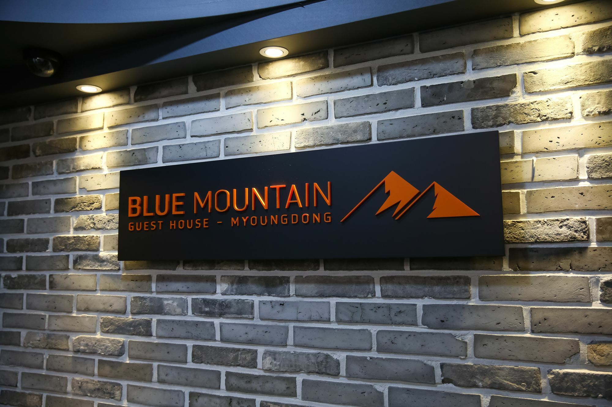 Blue Mountain Myeong-Dong Seul Exterior foto