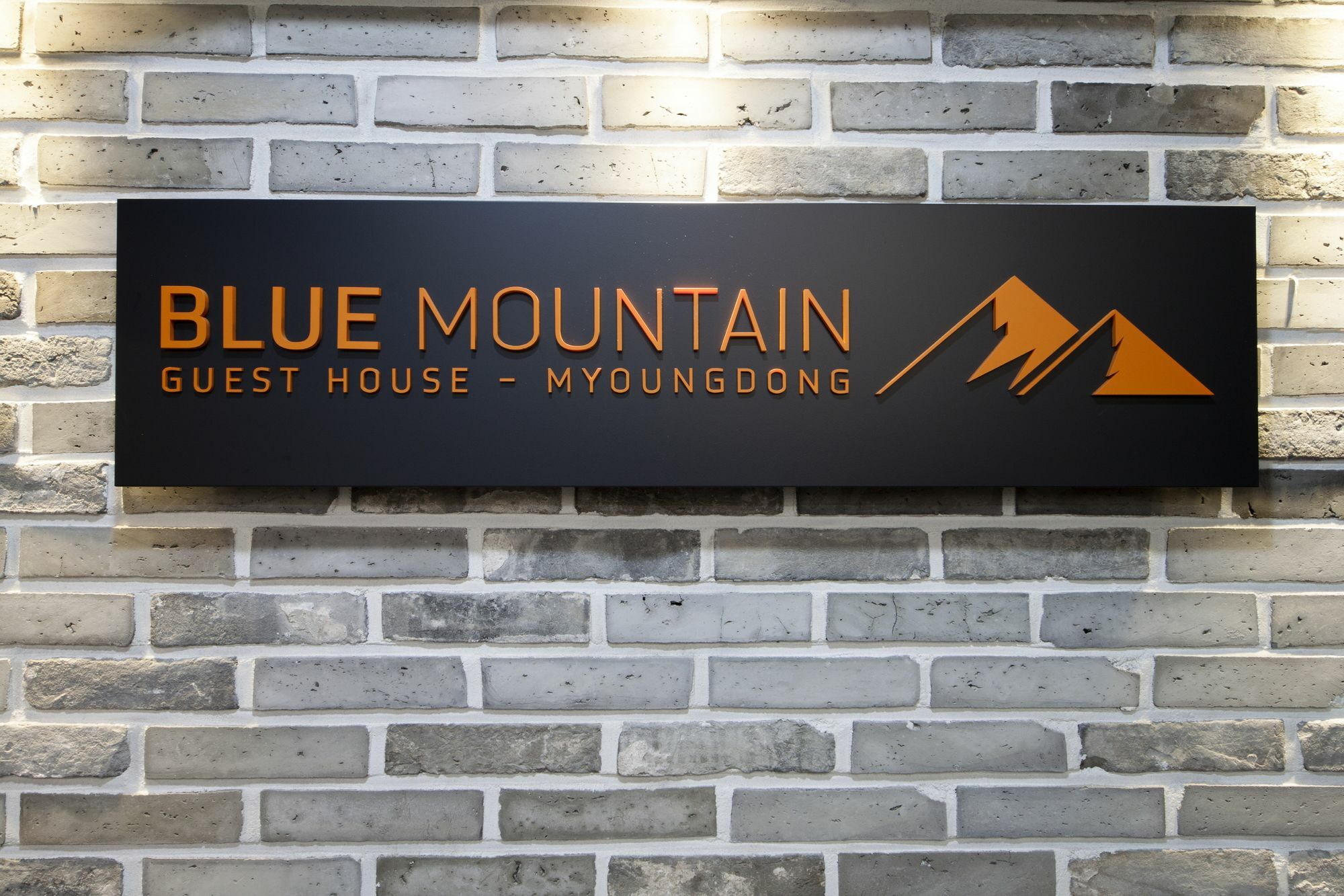 Blue Mountain Myeong-Dong Seul Exterior foto